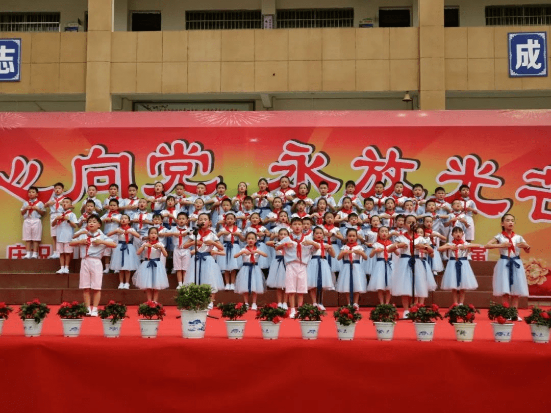 龙港区小学最新动态报道