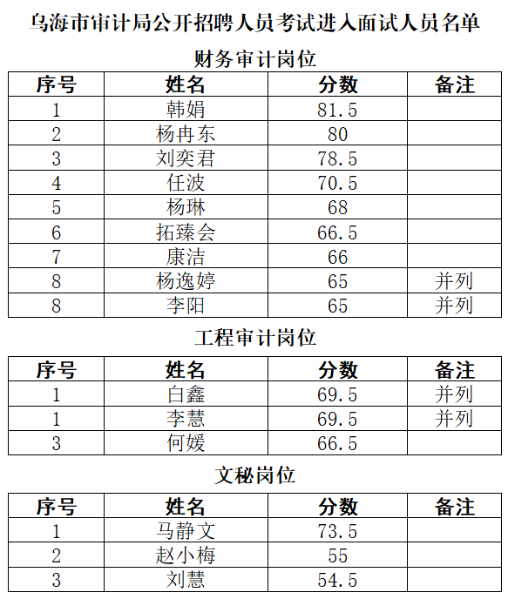 海勃湾区审计局最新招聘公告详解