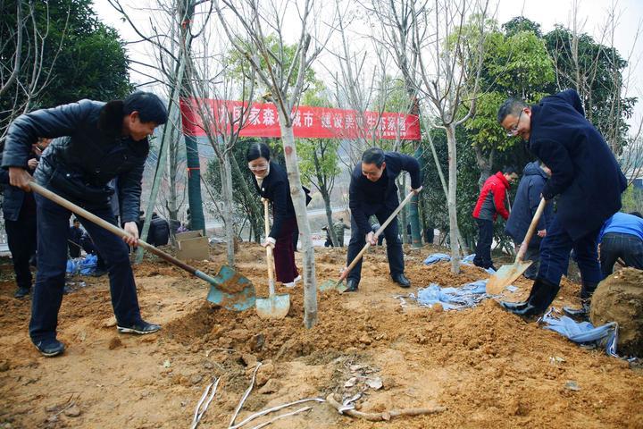 武义县文化广电体育和旅游局领导团队简介