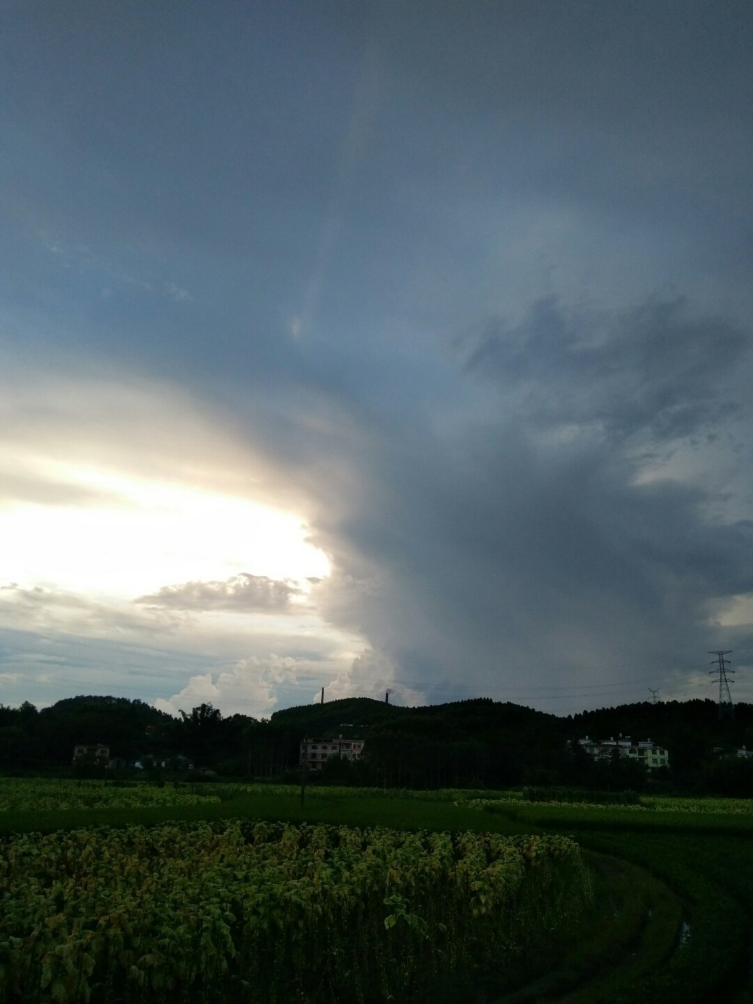 蓬塘乡天气预报更新通知