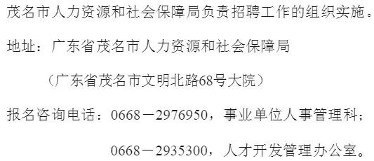 电白县科技局等最新招聘信息全面解析