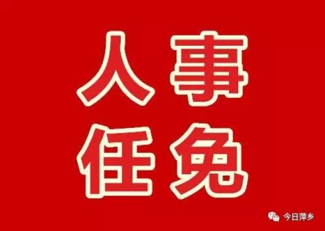 真多村最新人事任命动态与影响分析概览