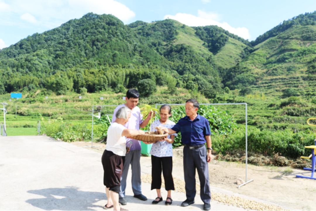 黄冈市脱贫攻坚成果显著，乡村振兴势头强劲，市扶贫开发领导小组办公室发布最新新闻