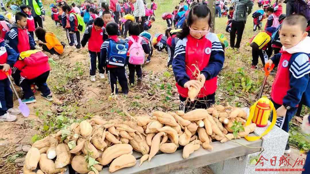 城厢区小学新任领导的教育理念引领未来展望