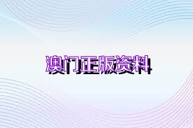 澳门正版资料,最新正品解答落实_定制版8.213