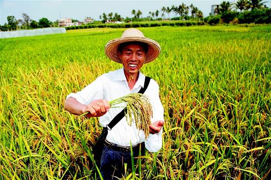 孝南区农业农村局最新动态报道