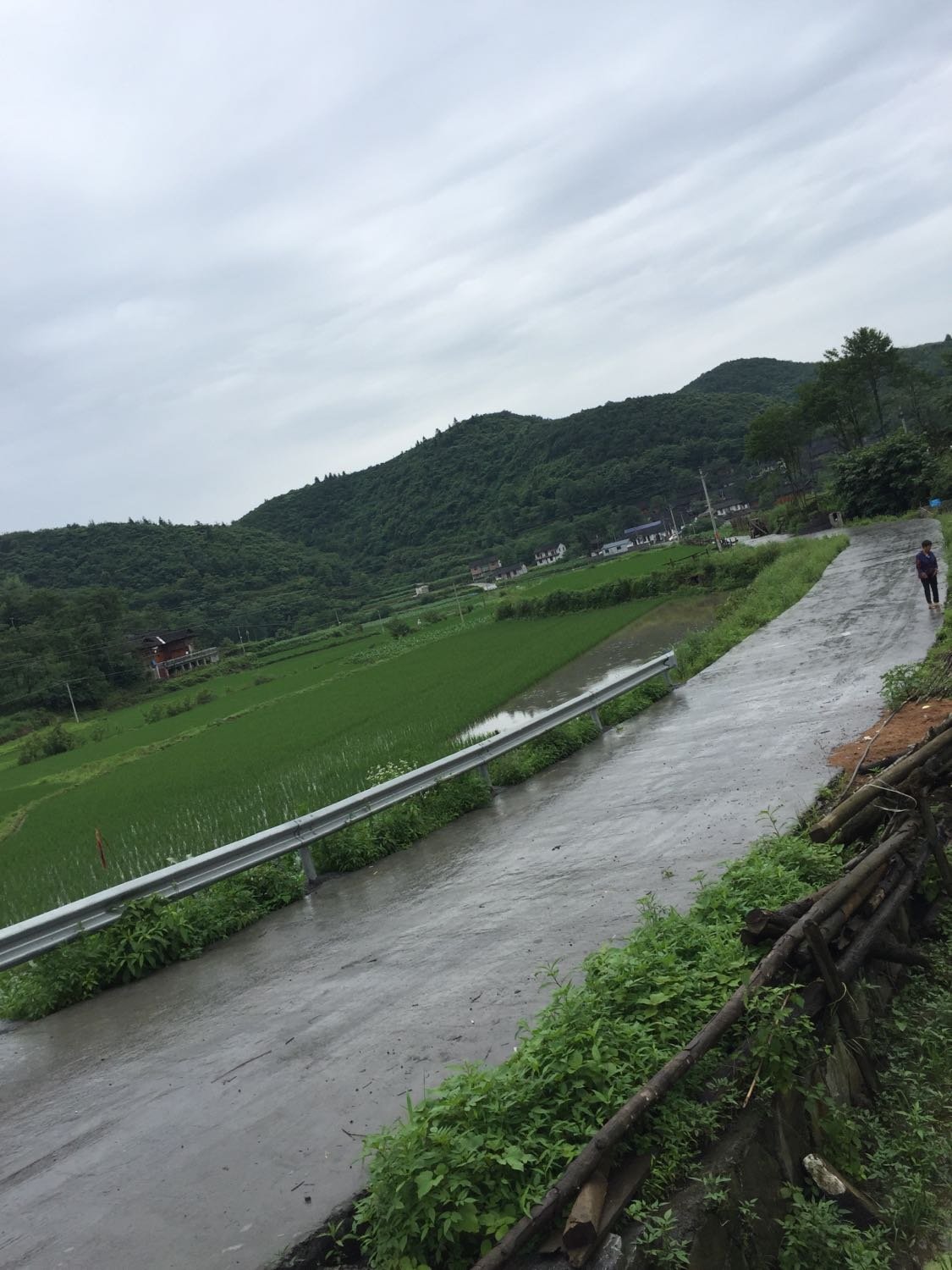 西陵镇天气预报更新通知