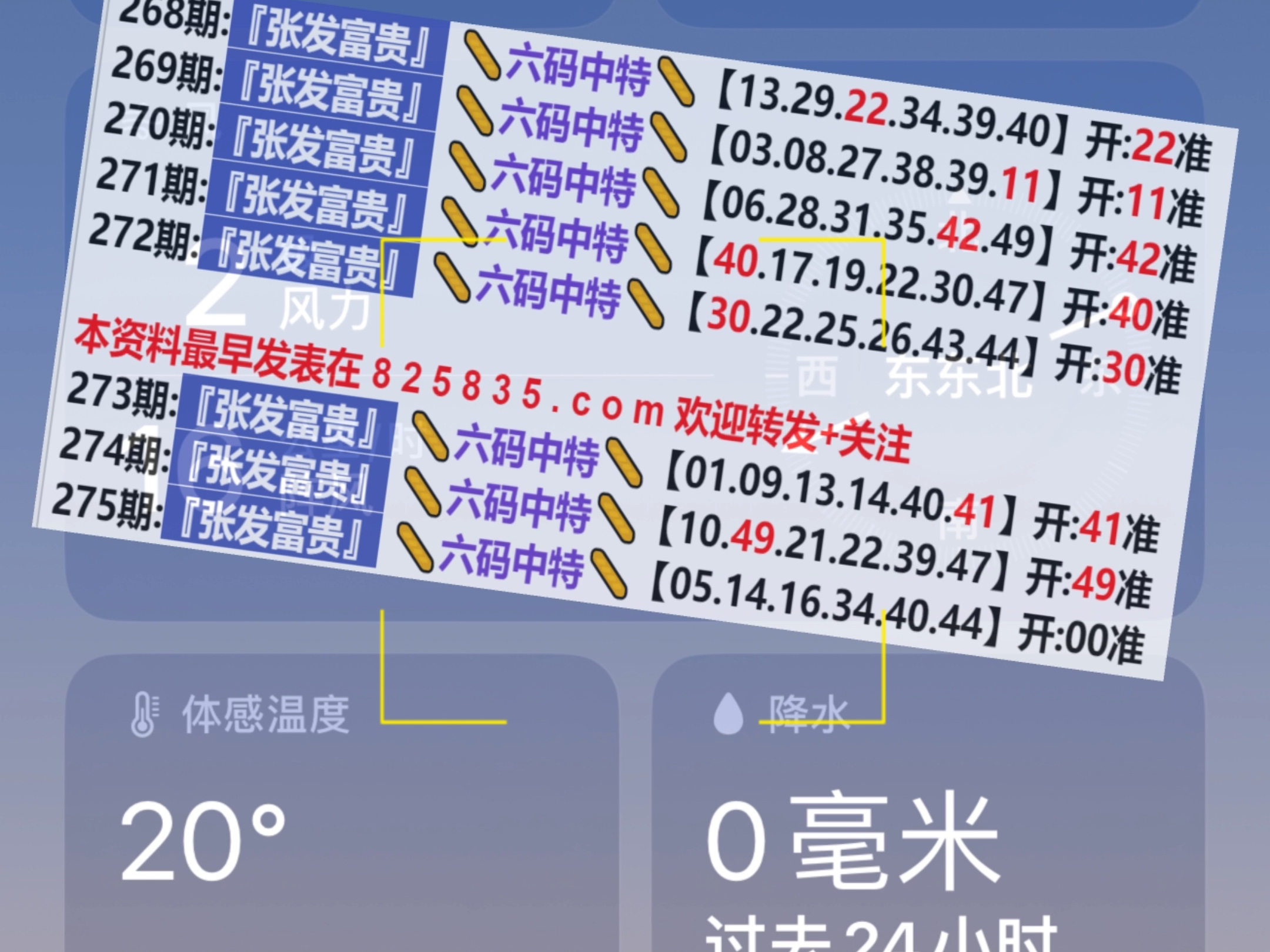 2024新奥门天天开好彩大全85期,数据驱动执行设计_界面版98.553