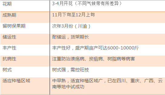 澳门今晚开奖结果是什么优势,快速解答方案执行_uShop88.989