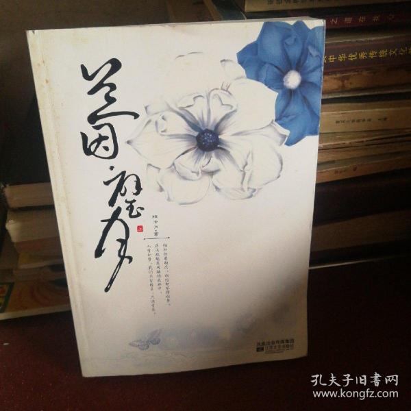 最新动态揭秘，小说兰因·璧月全新进展