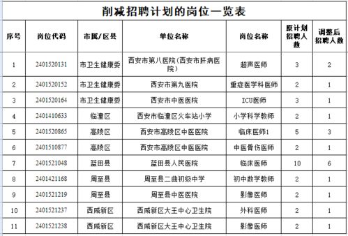 游仙区级托养福利事业单位全新发展规划展望