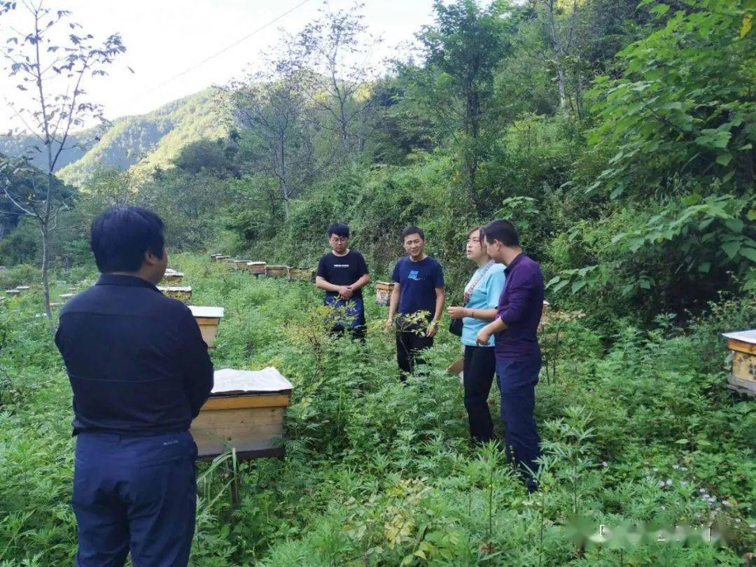 泰山区农业农村局最新招聘公告详解