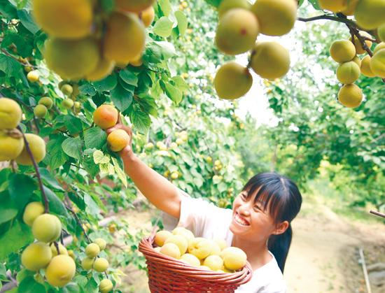 东布村新项目启动，乡村振兴新篇章开启