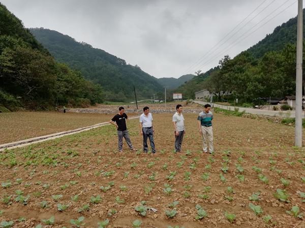 碾子村新领导，引领乡村振兴的时代先锋