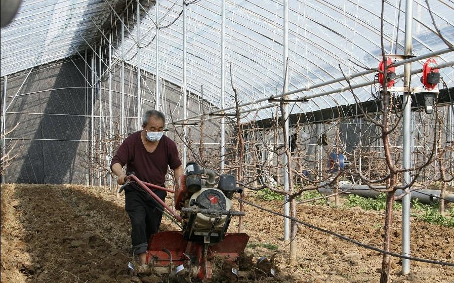 张家川回族自治县防疫检疫站最新动态更新