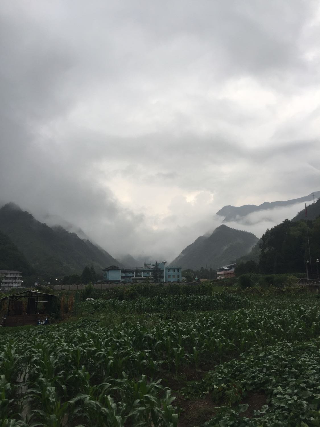 河包镇天气预报更新通知