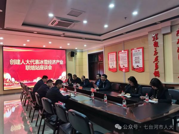 七台河市共青团市委新项目引领青年力量，共筑美好未来梦想