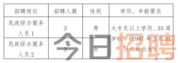 长洲区民政局最新招聘公告概览