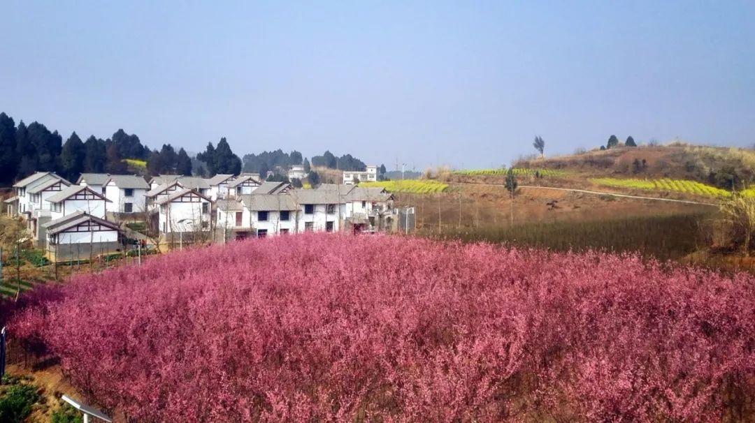 雷公庙镇新项目，地区发展的强大引擎驱动力