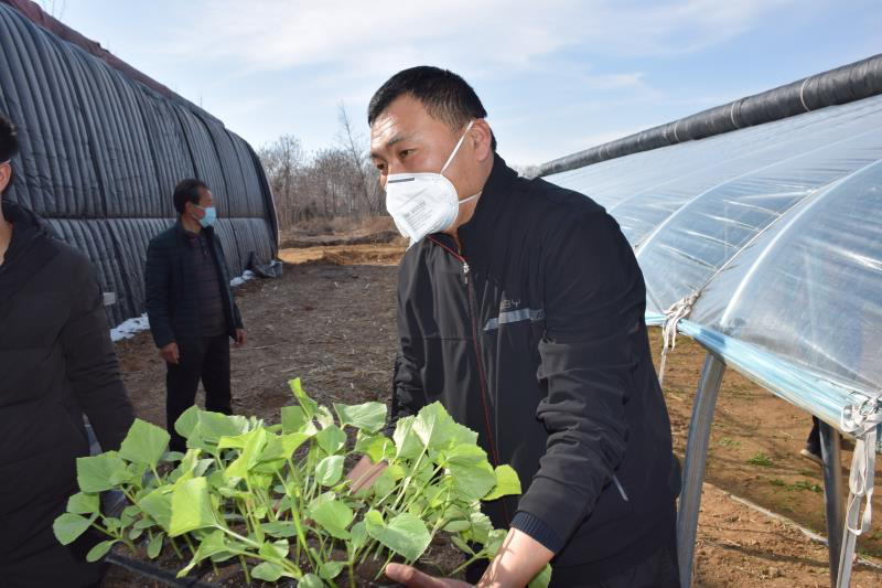 河洼村委会领导团队引领村庄新篇章