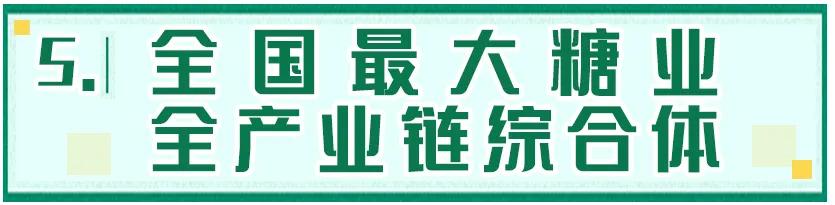 来宾市来宾区自然资源和规划局最新项目概览及动态分析