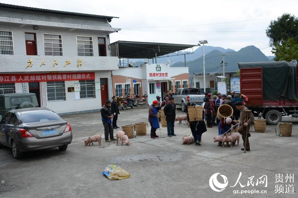 印江土家族苗族自治县医疗保障局最新动态报道