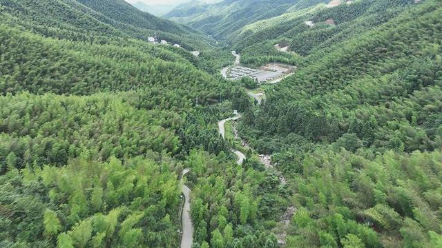 蓝山浆洞林场最新项目，探索突破之路