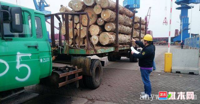 蔡头湾木材检查站生活区最新动态报道