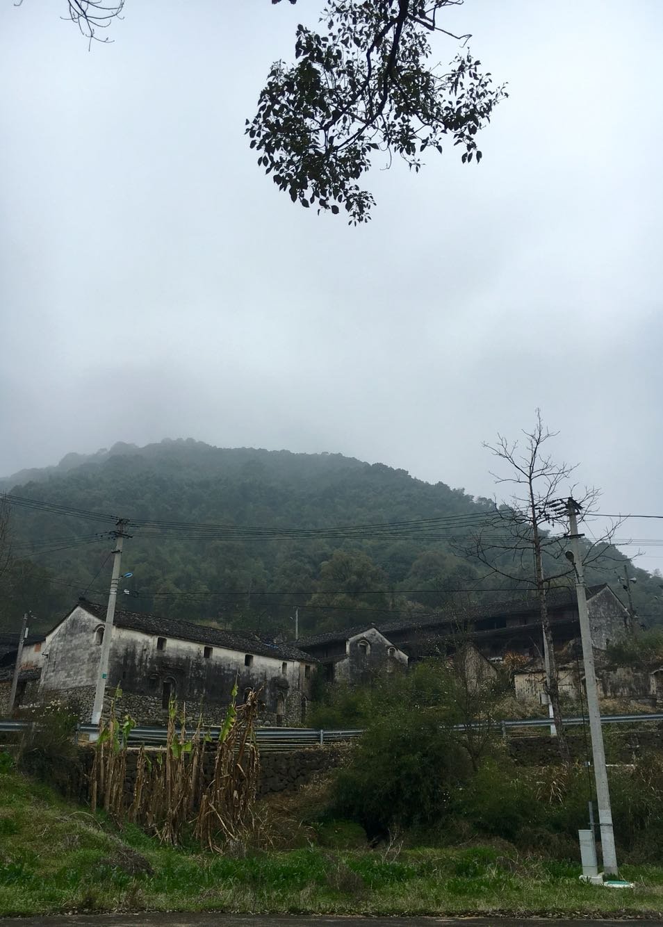 田湾村天气预报更新通知