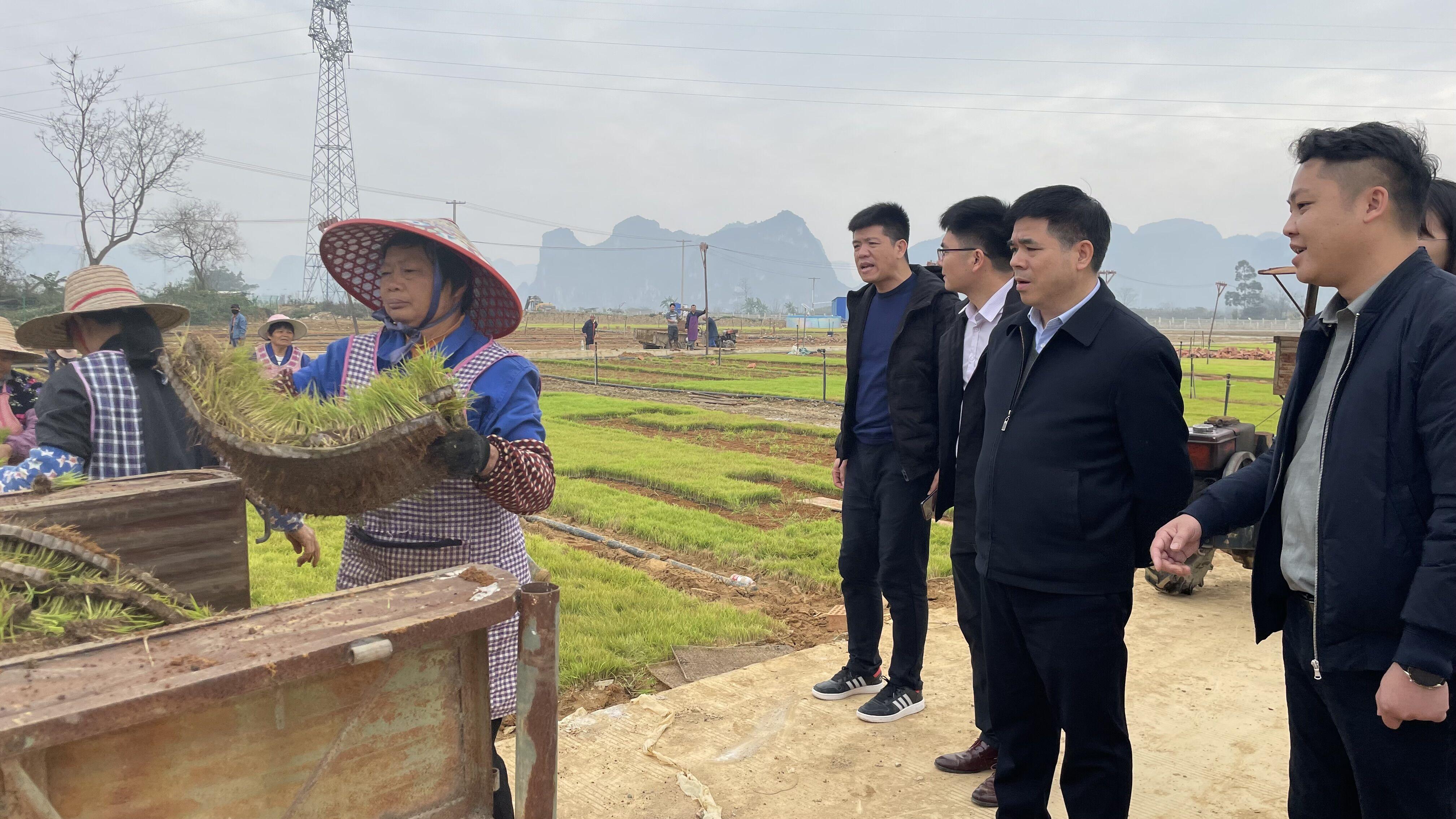 周鹿镇领导团队全新亮相，引领未来，共筑新篇章发展之路