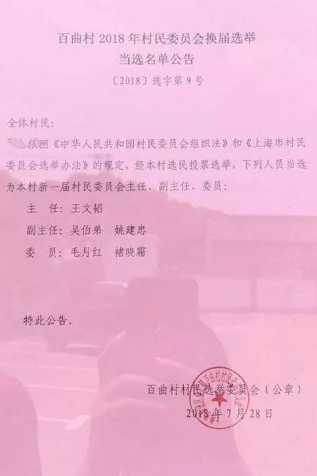 东林村委会人事任命启动，乡村发展新篇章开启