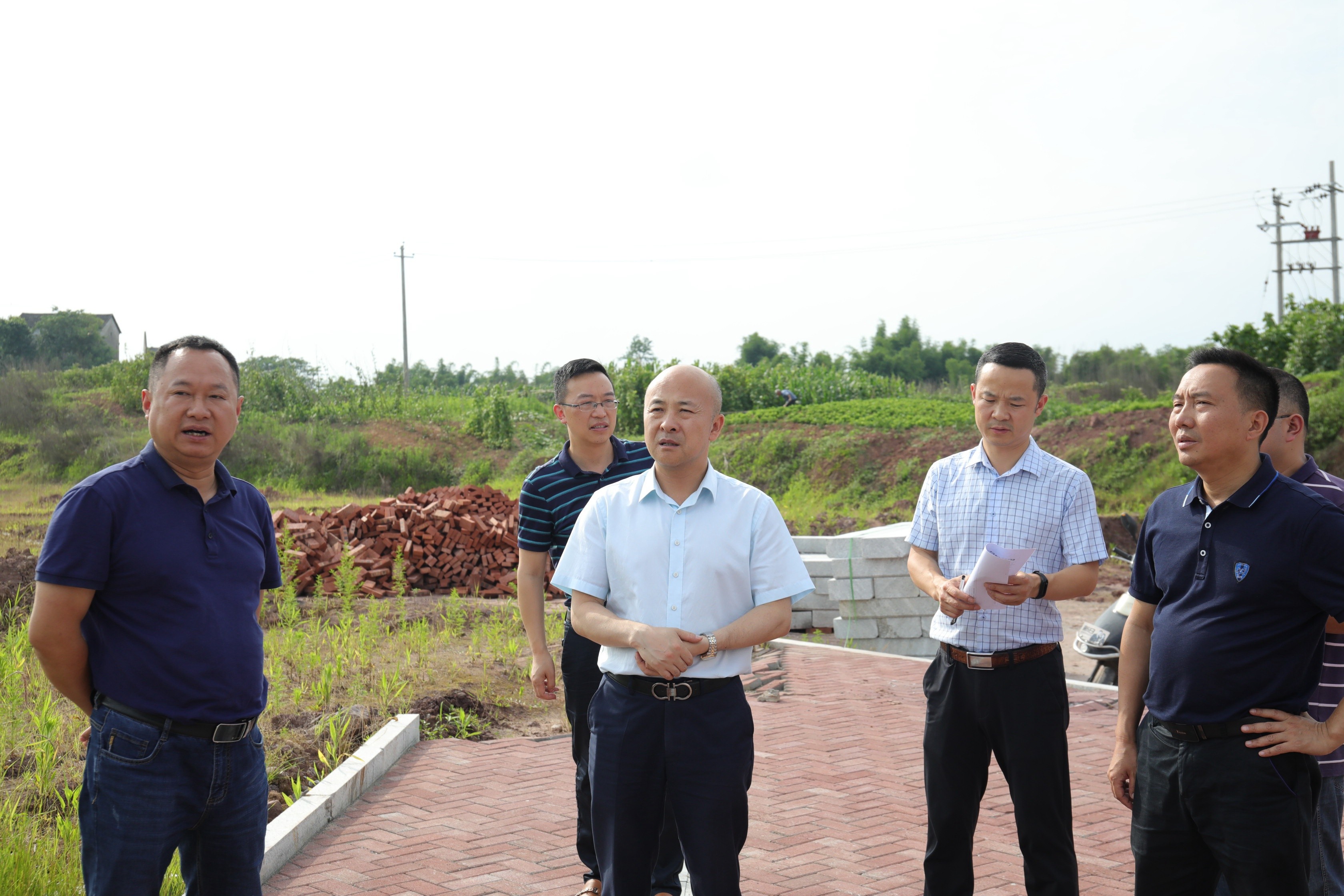 岳池县统计局新项目，县域经济高质量发展新引擎启动