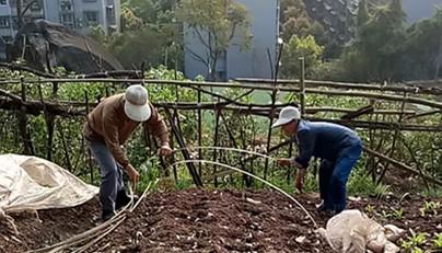 第二苗圃最新天气情况播报