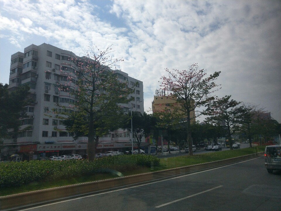 池尾街道天气预报最新详解