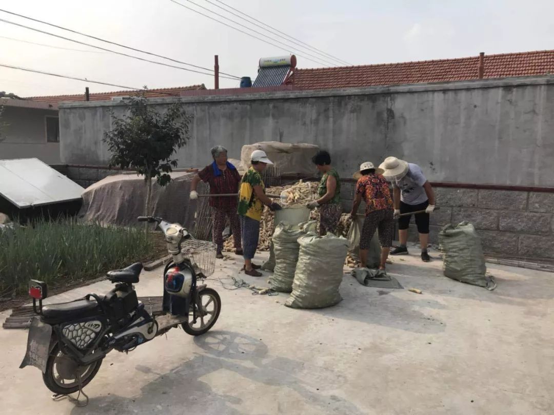 谭格庄镇领导团队新貌，引领地方发展的核心力量