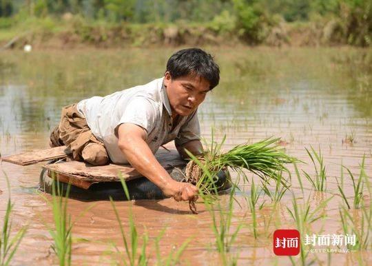 蓬安县康复事业单位人事任命重塑康复事业未来篇章