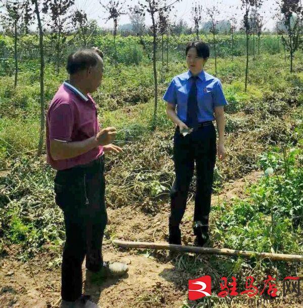 沈寨乡新项目，乡村发展的强大引擎驱动力