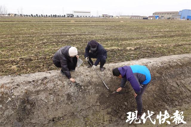 盐城市城市社会经济调查队人事任命动态解读